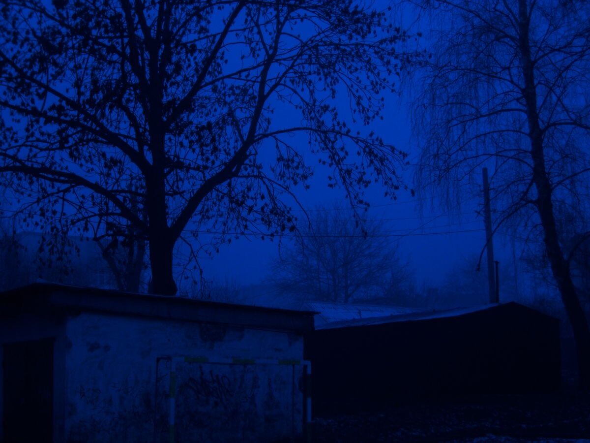 Фото из сети.