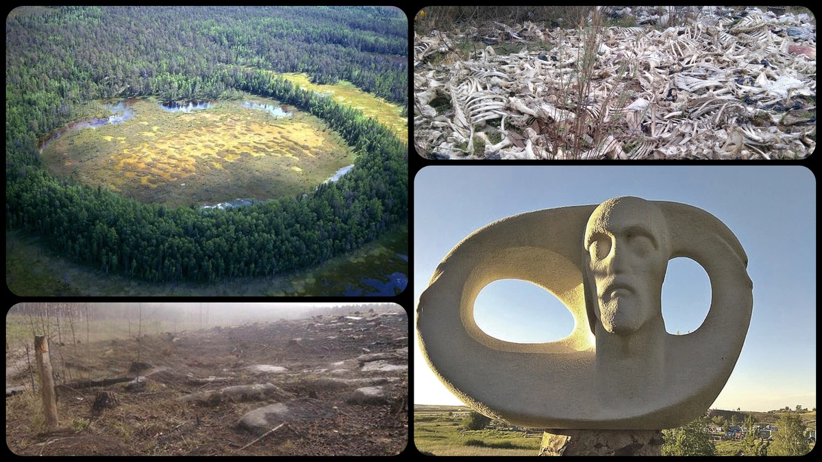 Фото: Коллаж Царьград