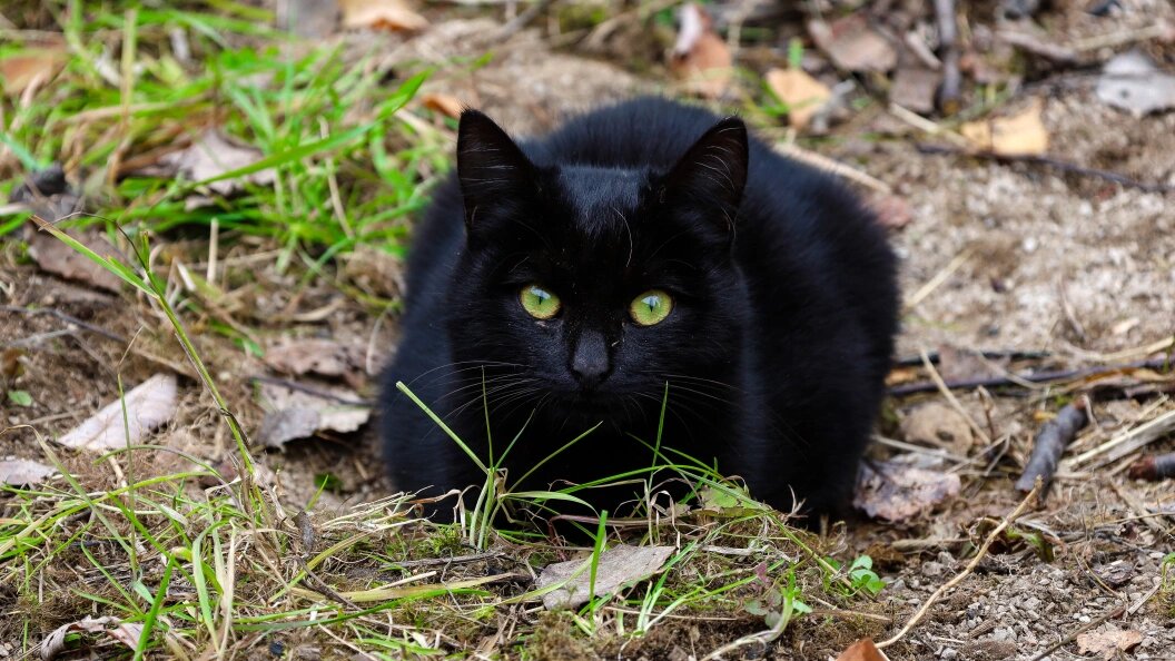    Elena Mayorova/Global Look Press