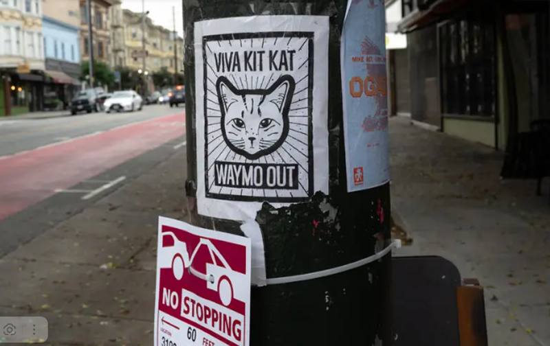 Плакаты с призывами беречь котиков и отказаться от услуг беспилотных такси