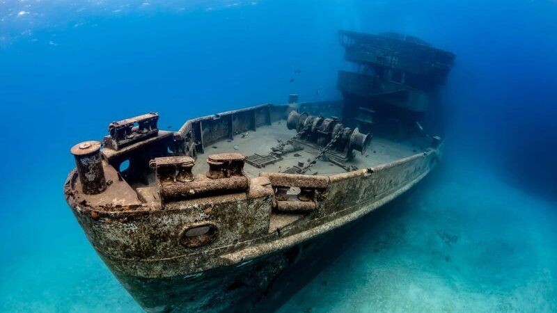    Фото: Richard Whitcombe/Shutterstock/Fotodom