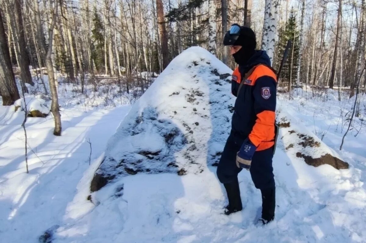    Выяснилось, как нашли пропавшую в регионе поиска Усольцевых девочку Арину