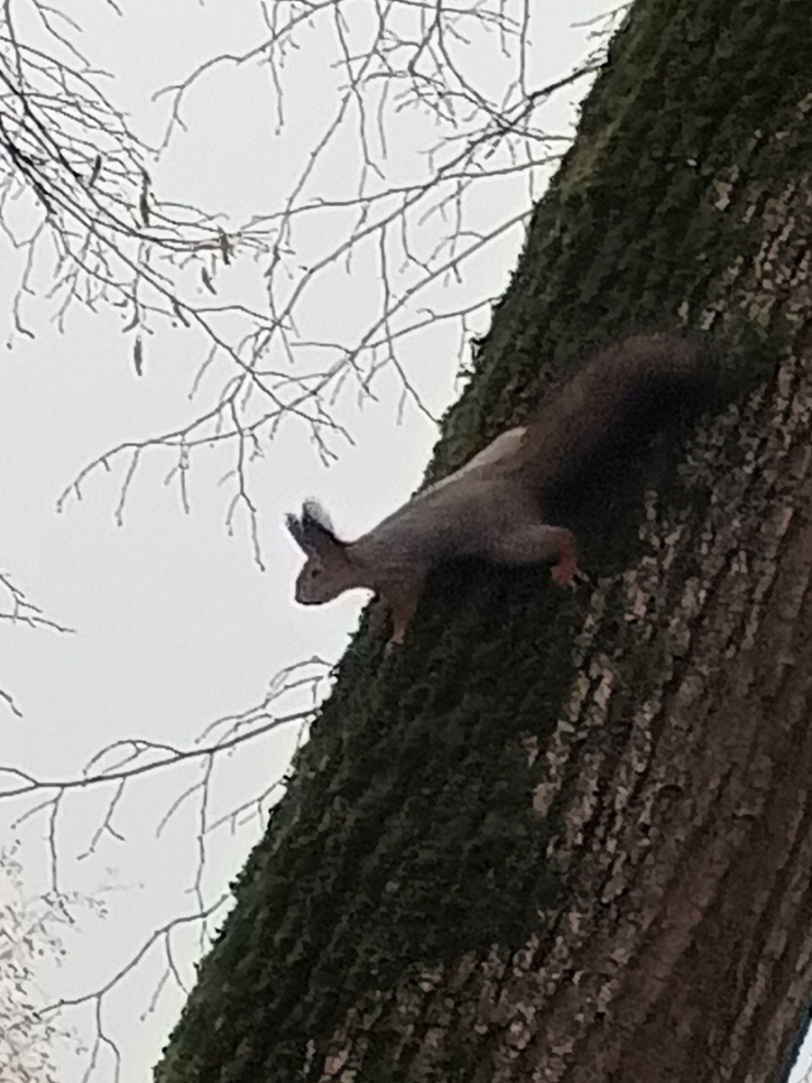 И кто это идёт? Фото Галины Малышевой.