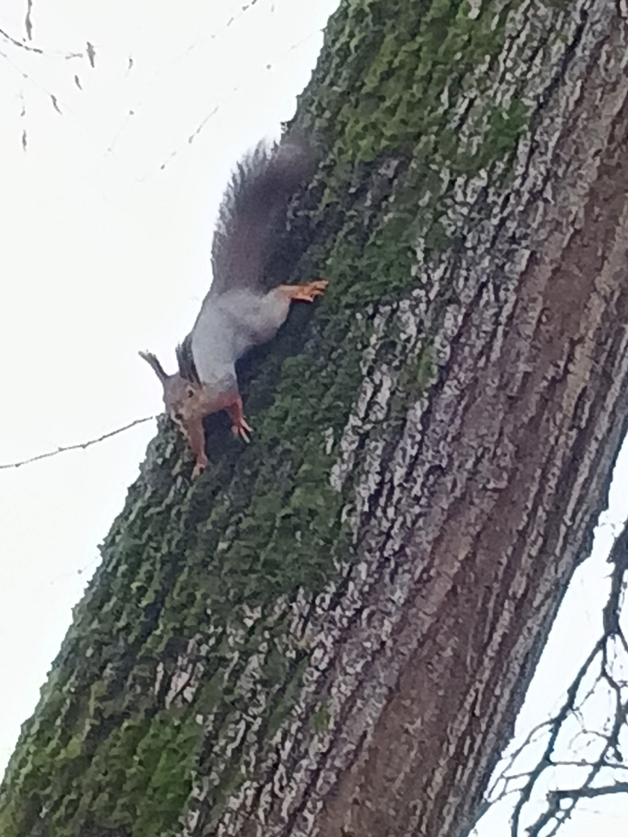 Смотрим внимательно. Фото Галины Малышевой.