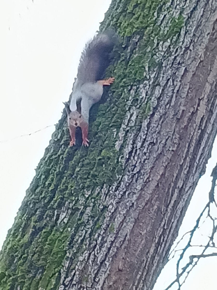 Эй! А где вкусное?! Фото Галины Малышевой.