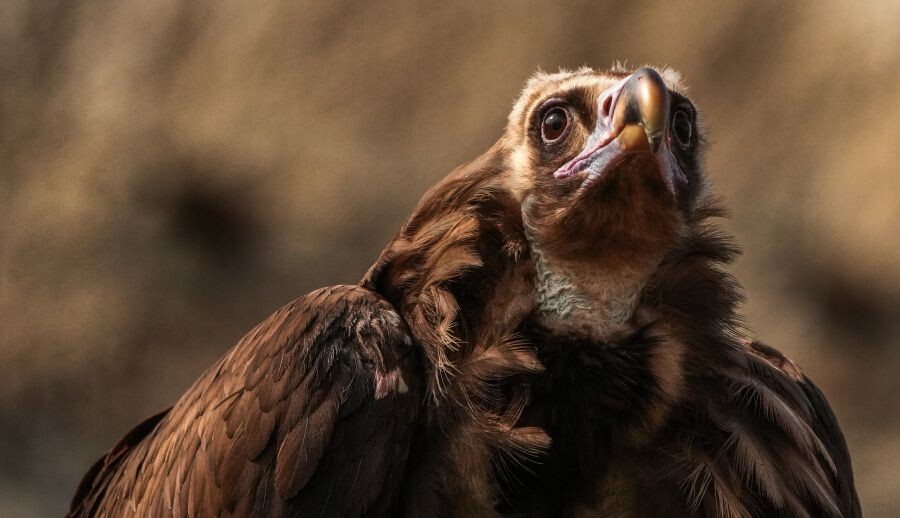     / Источник: © РИА Новости