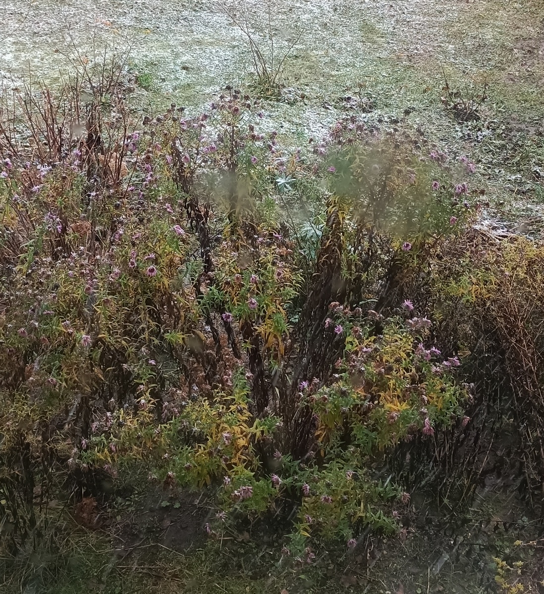 Погода за окном с утра.