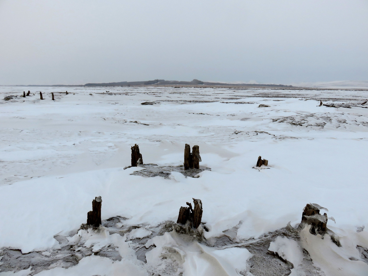 Остатки фундаментов домов на месте затопленной деревни Усть-Ерба. Фото из архива Владимира Черникова