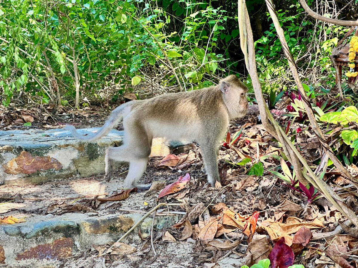 Удивительный Ко Чанг в Таиланде.