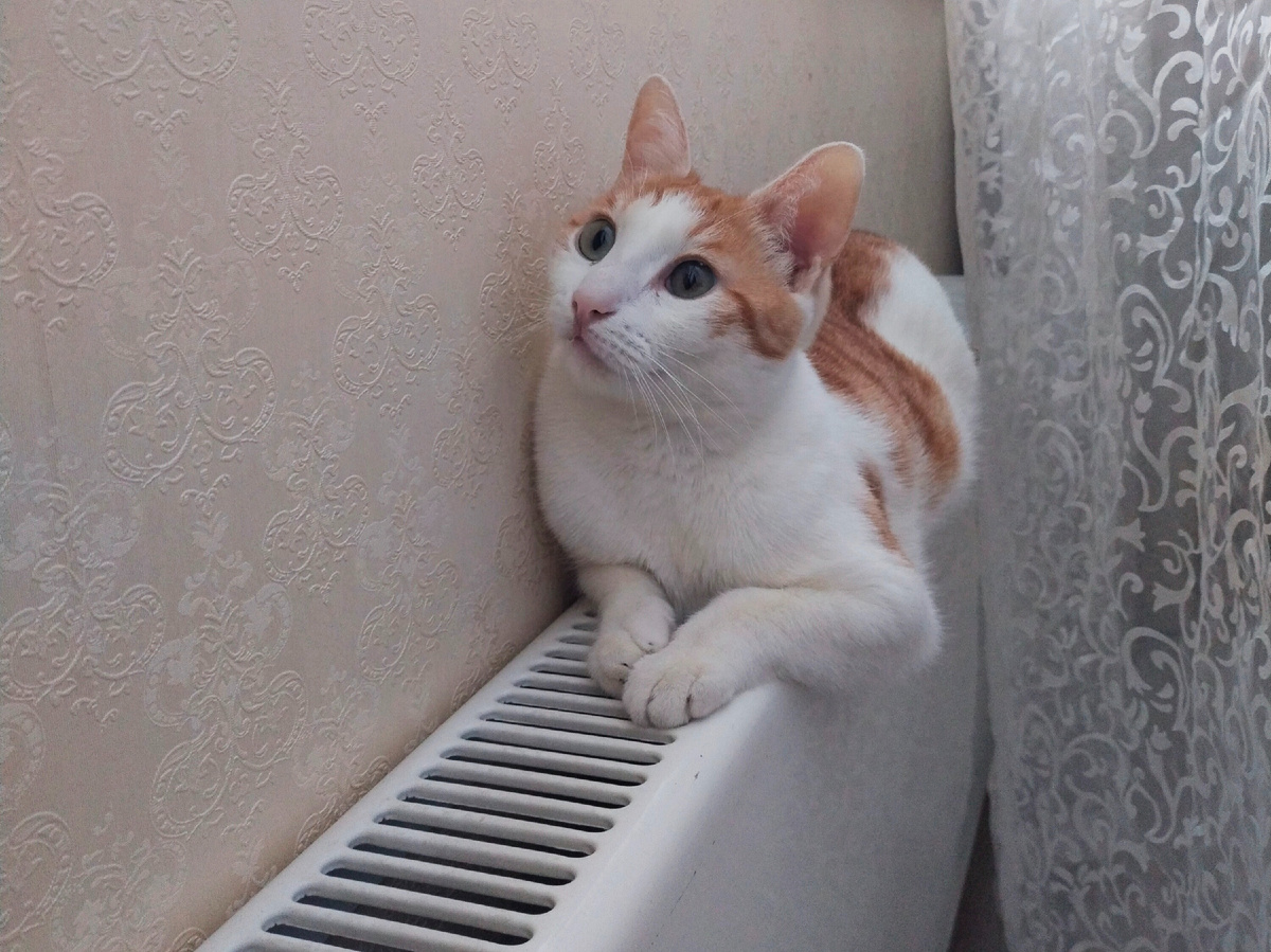 Срочно греемся 