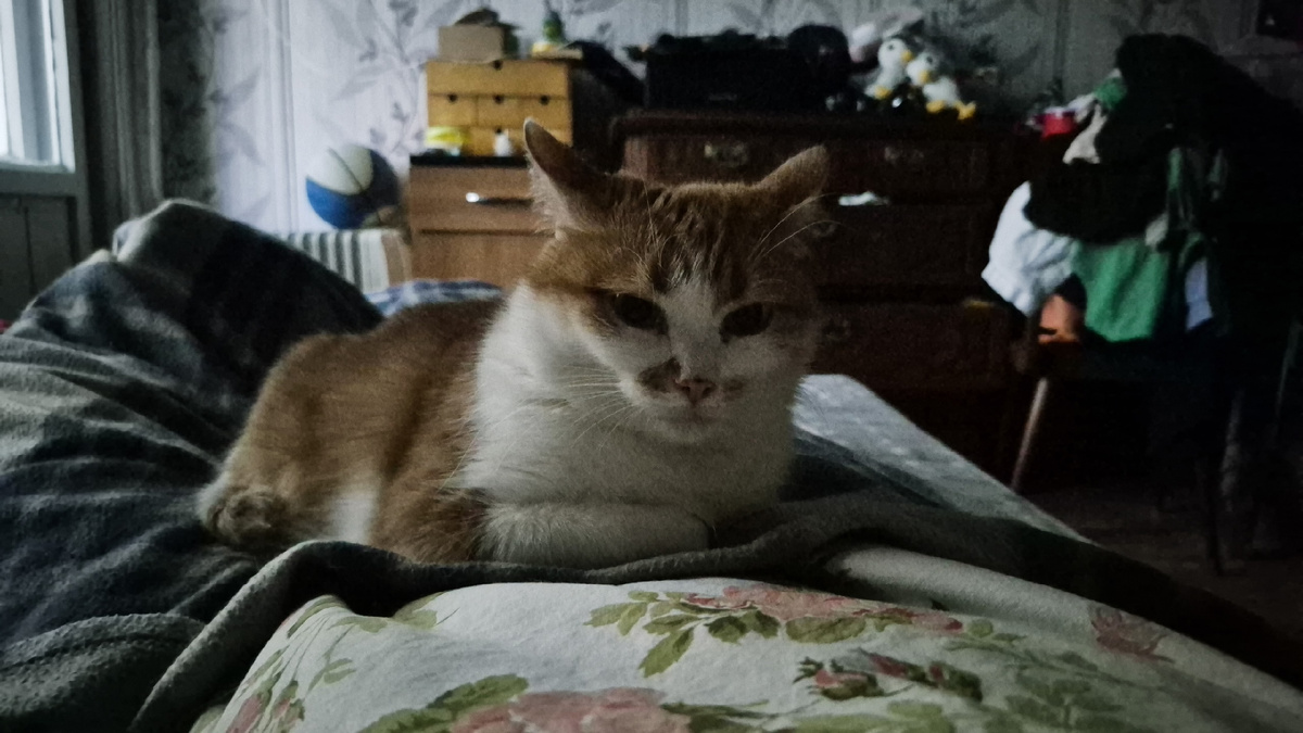 накануне спала со зверем