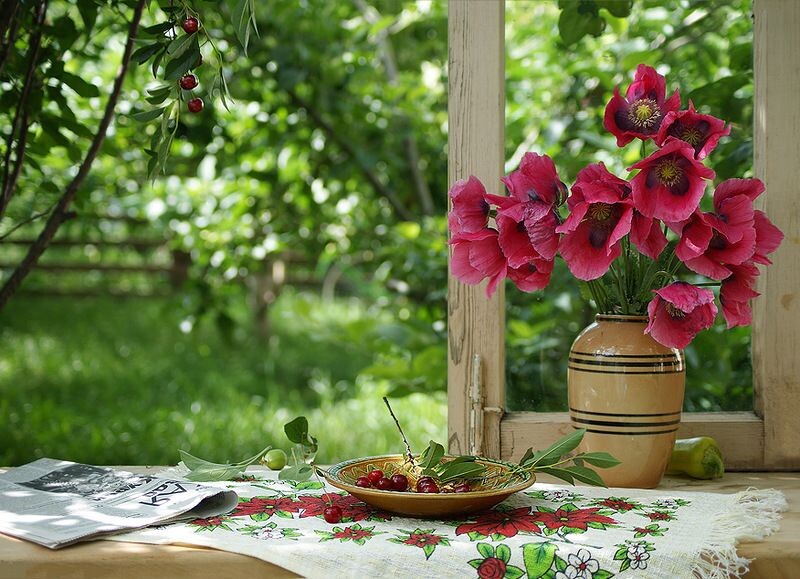 Картинка найдена на просторах интернета, ссылка https://yandex.ru/images/search?from=tabbar&img_url=https%3A%2Fi%2F.pinimg.com%2Foriginals%2Fa8%2F34%2Fа3f%2Fa83р43f81с28379b5e7bd53274cf0591a19.jpg&lr=47&pos=15&rpt=simage&text=%D1%86%D0%B2%D0%B5%D1%82%D1%8B%20%D0%BA%D1%80%D1%83%D0%BF%D0%BD%D0%BE%20%D1%84%D0%BE%D1%82%D0%BE