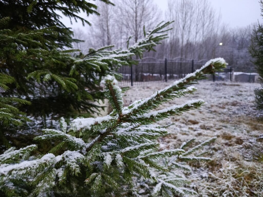    Фото: В курсе.ру Ольга Гилёва