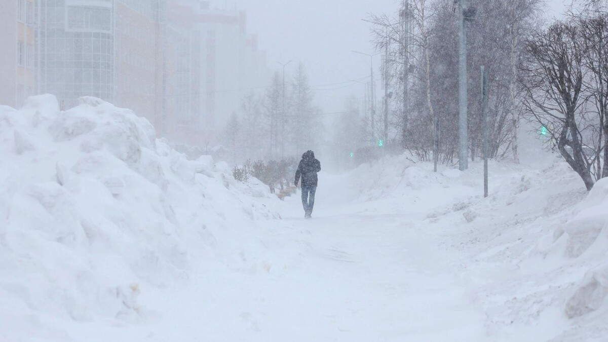    Фото: Андрей Ткачев / «Ямал-Медиа»