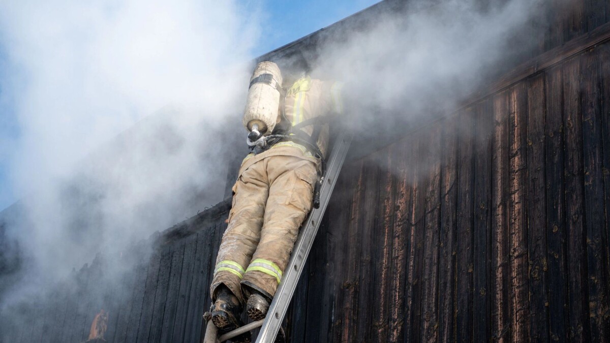    Фото: Юрий Здебский / «Ямал-Медиа»