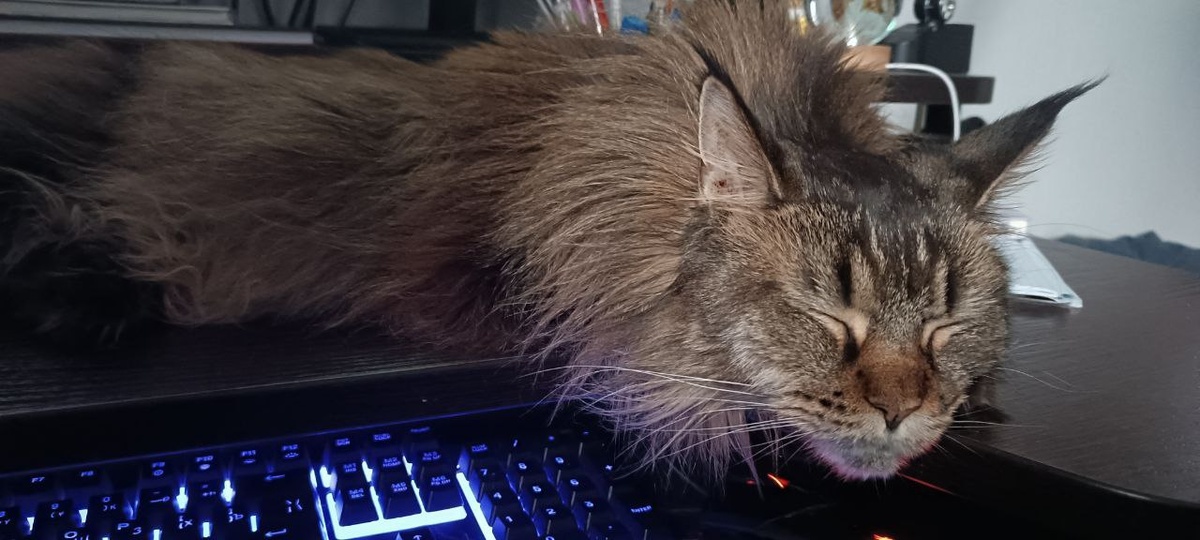 Вот когда так лежу, я всегда Урсёнок!