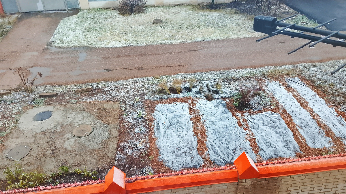 Наконец-то у нас выпало немного. В парках уже елки устанавливают, а снега совсем нет.