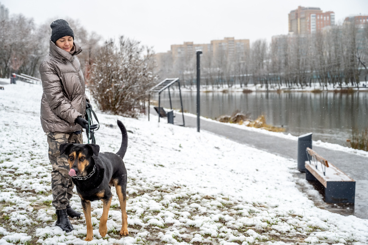    Фото: Юлия Федотова