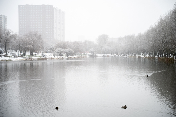    Фото: Юлия Федотова