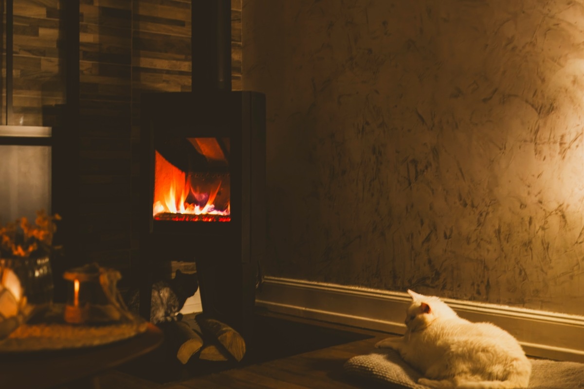    Фото: Hakim Menikh / Unsplash.com