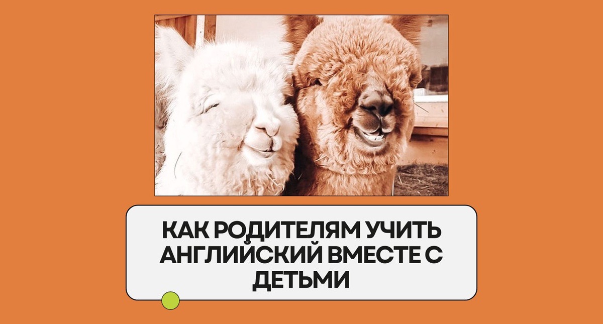 Изображение: Family English