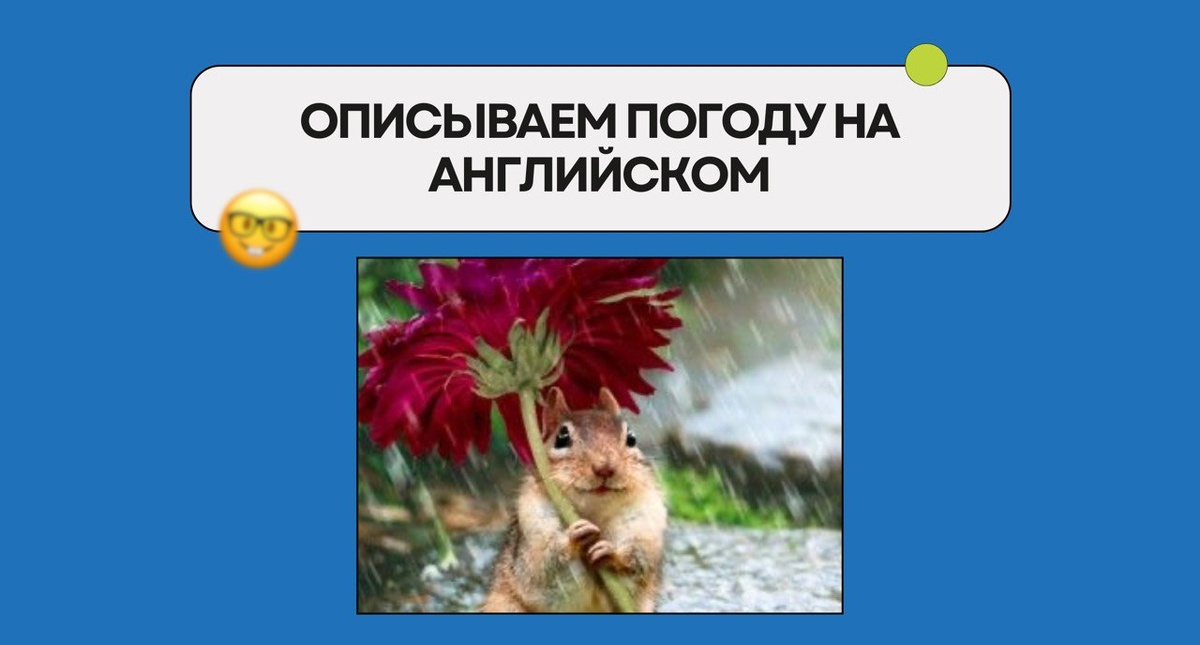 Изображение: Family English