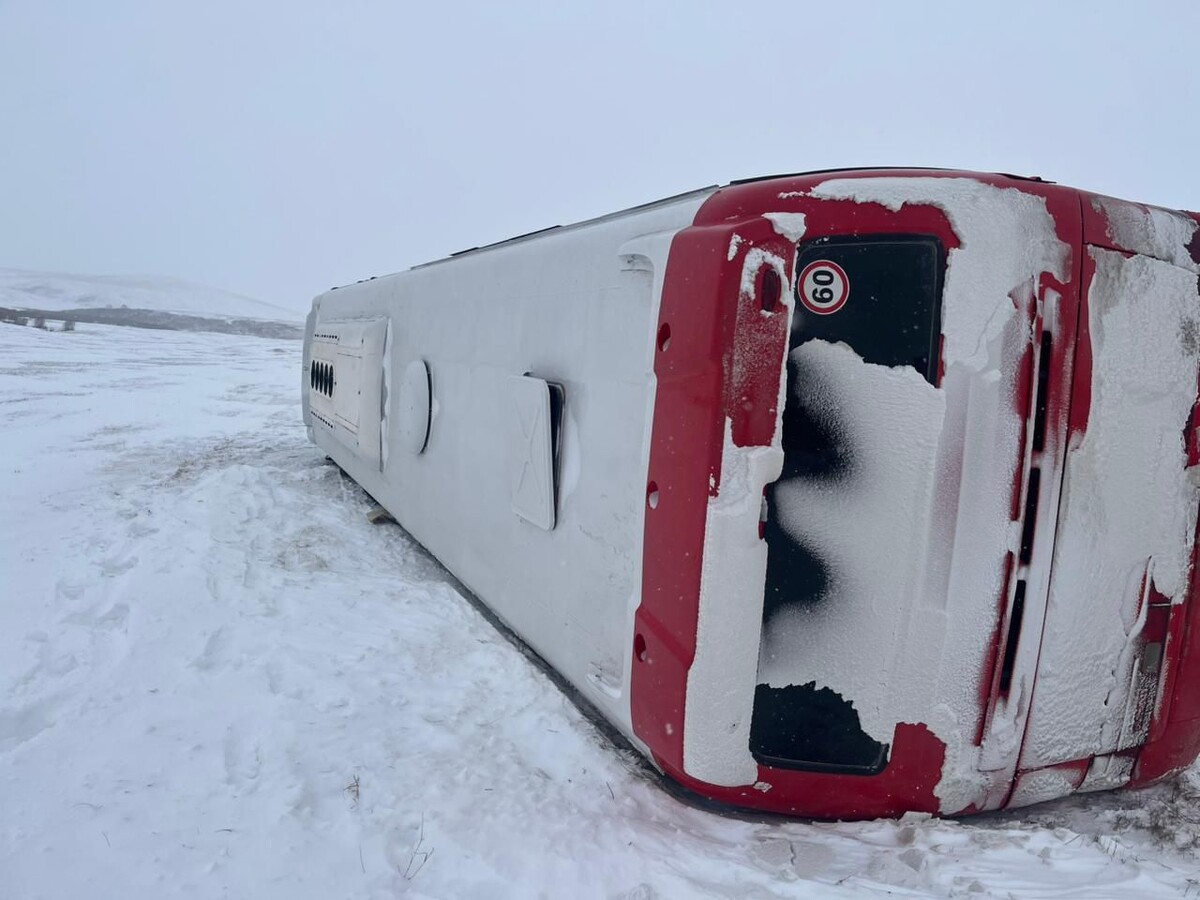     / Источник: t. me/gibdd_75