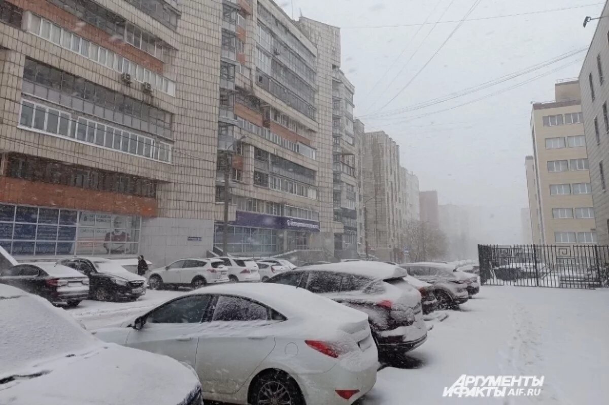    Продавец рассказала, как нашла Арину, пропавшую в регионе поиска Усольцевых