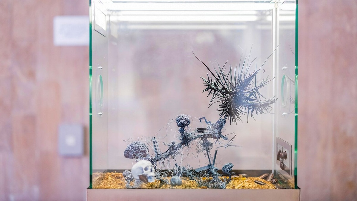 Фото: Игорь Захаров. Mos.ru

