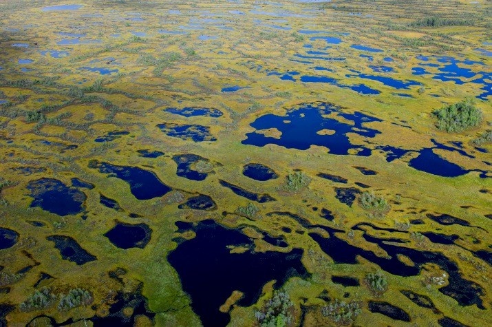 Васюганские болота с высоты - территория размером с Данию