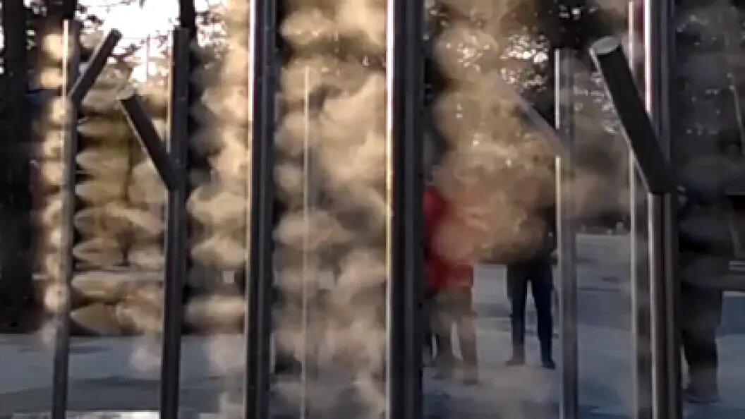    Фото: скрин видео Анны Кобяковой/предоставлено Царьграду мэрией Челябинска.