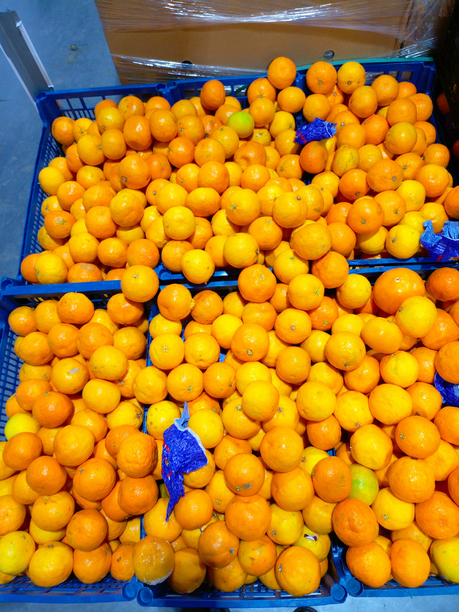 фото сделано автором канала