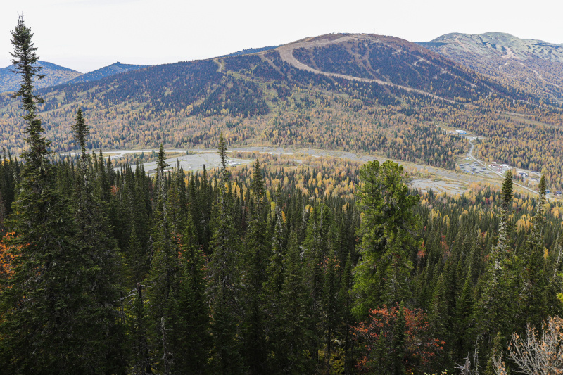    Фото: Ramzik Zakharyan/URA.RU/GlobalLookPress