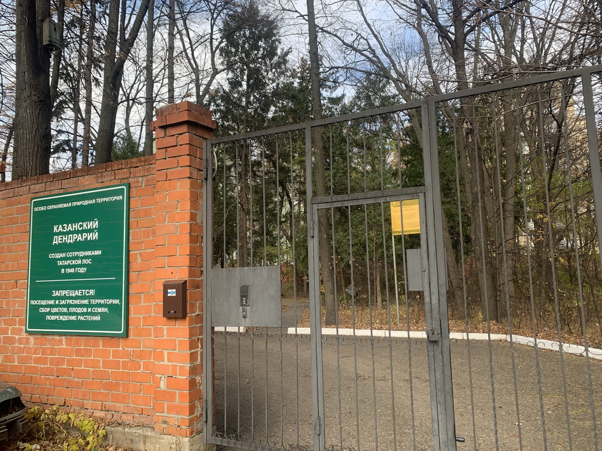 Фотография автора канала