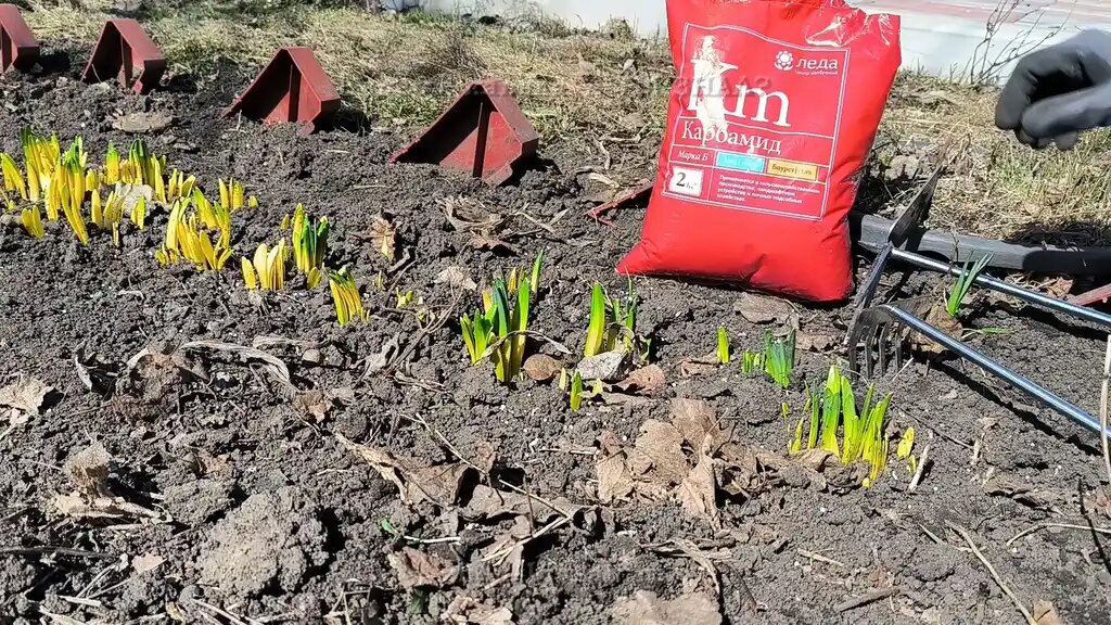 Весенний азот: Как я научился будить спящие растения