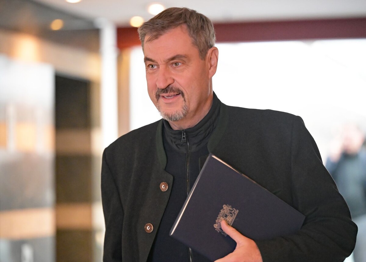     / Источник: © Global Look Press