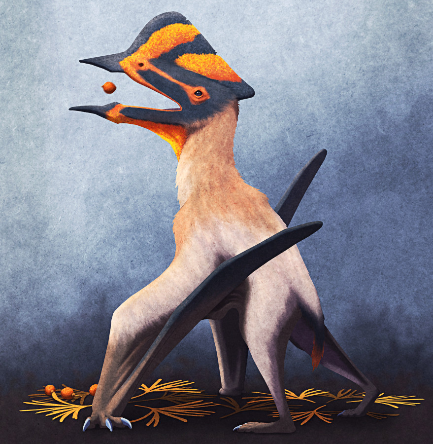 Иллюстрация от Nix