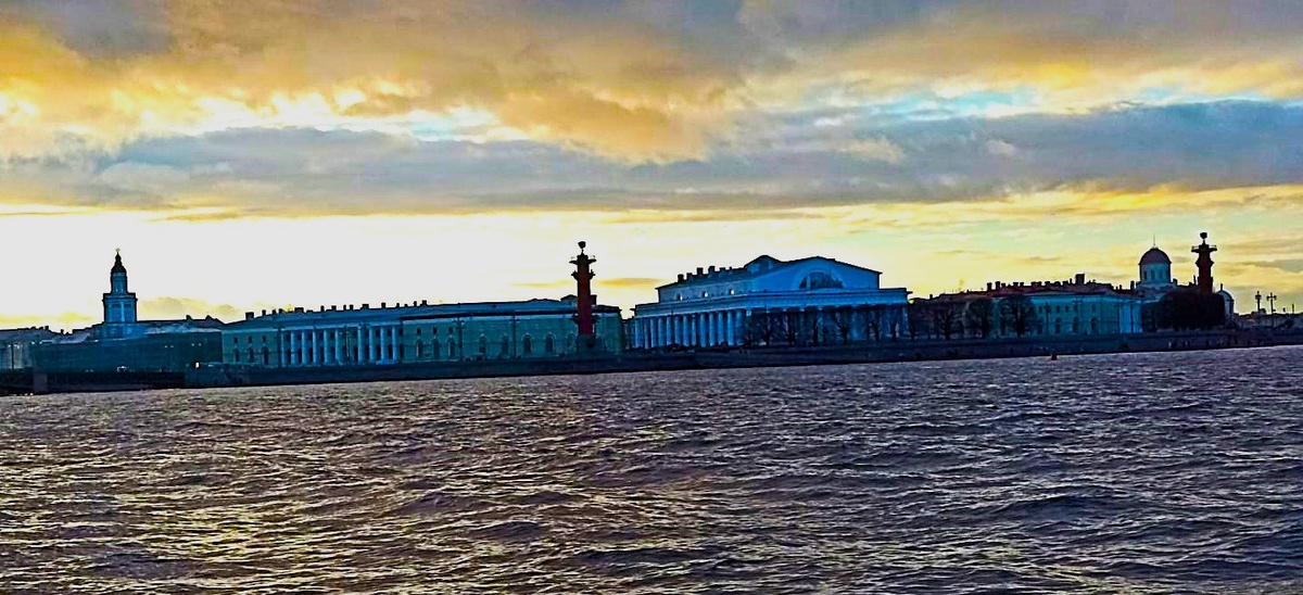 Фото моих коллег