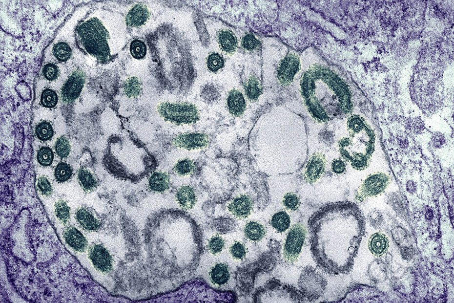    IMAGO/CDC/IMAGE POINT FR/BSI/Global Look Press