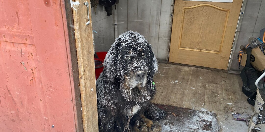 Мы снова с протянутой рукой.