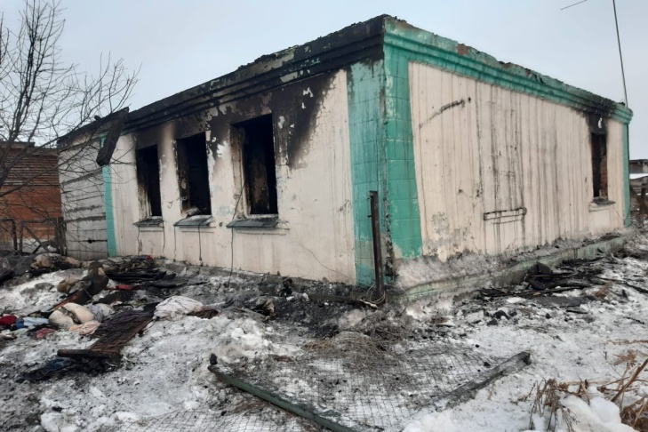    Фото СУ СКР по Новосибирской области