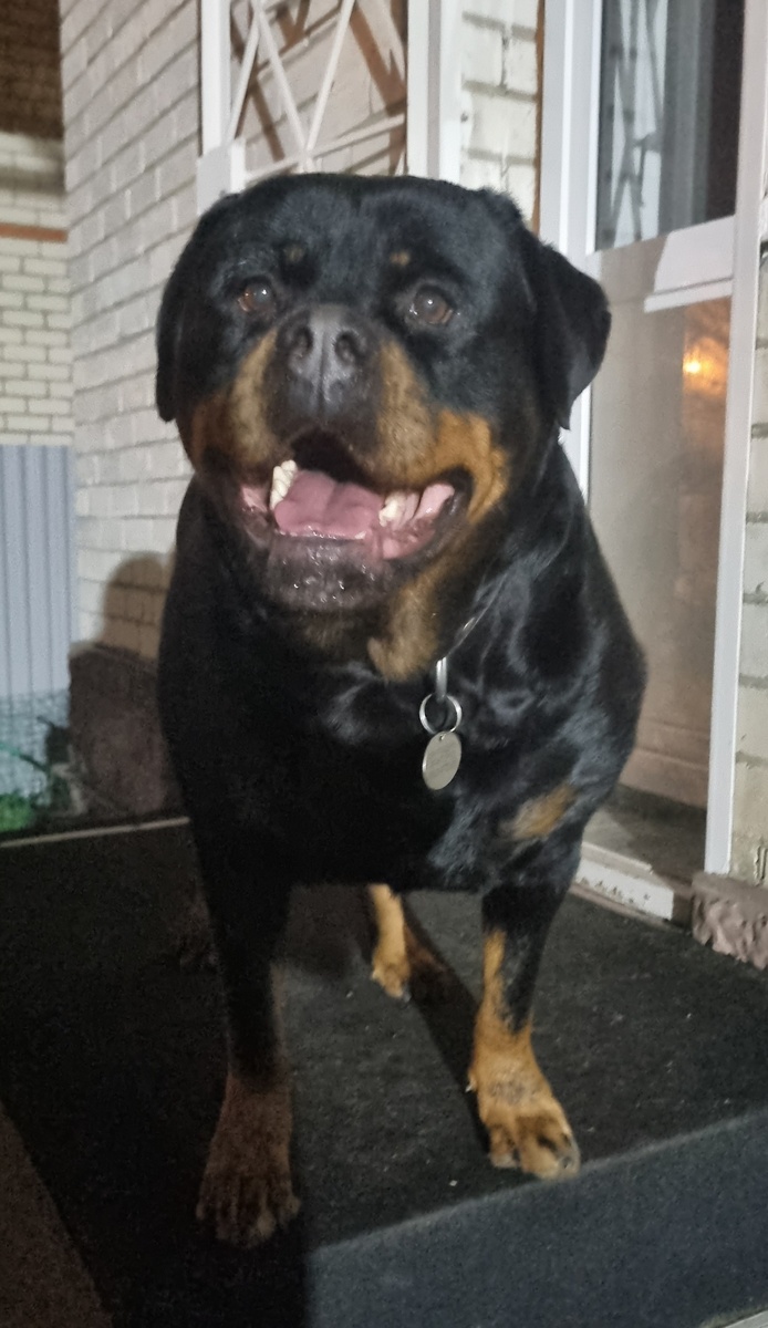 Всем Добрый вечер! 💥💥💥