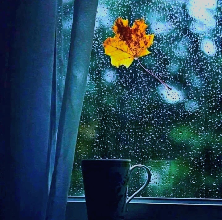 фото из общедоступных источников 