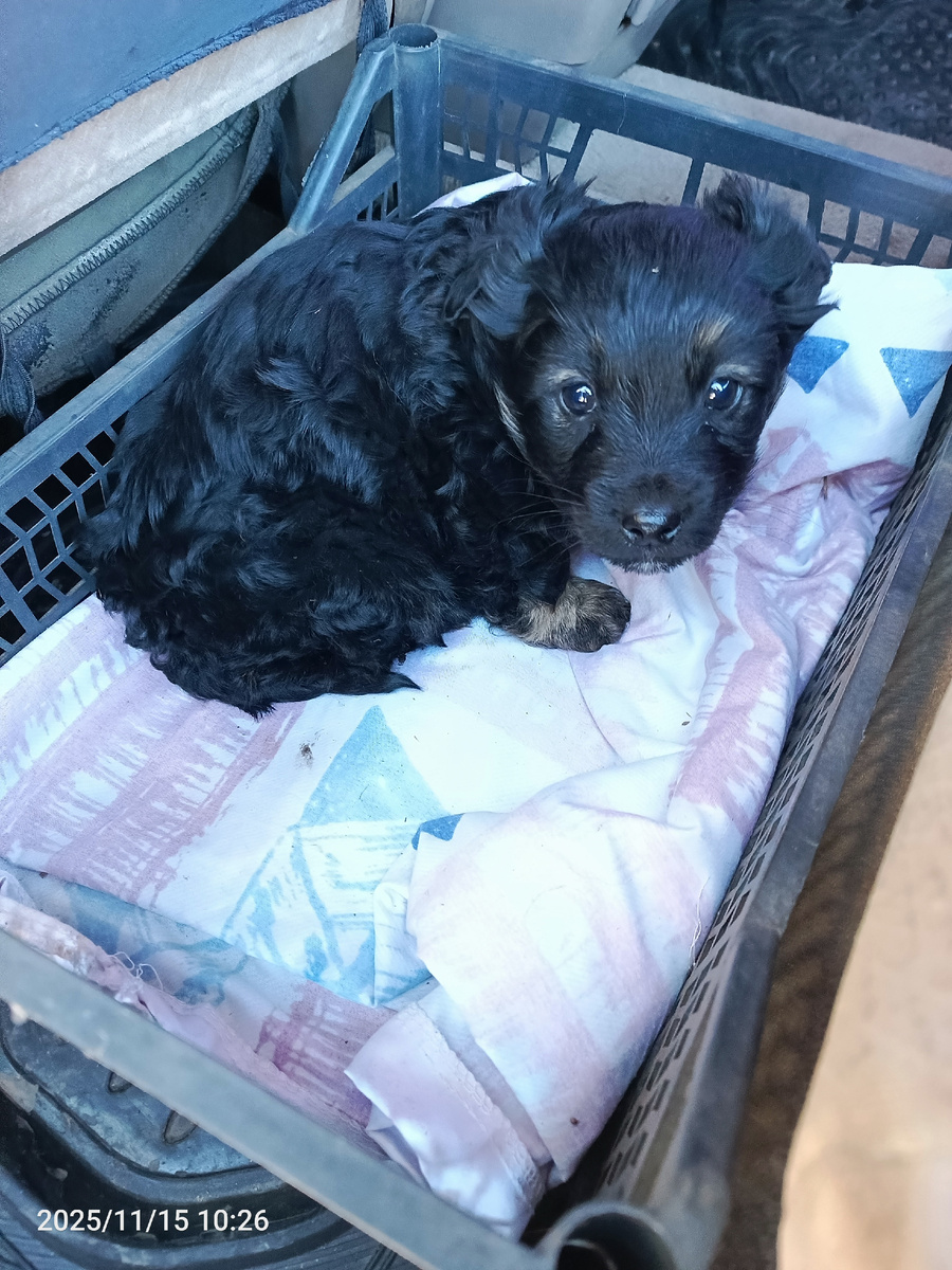 Такой испуганный 💔