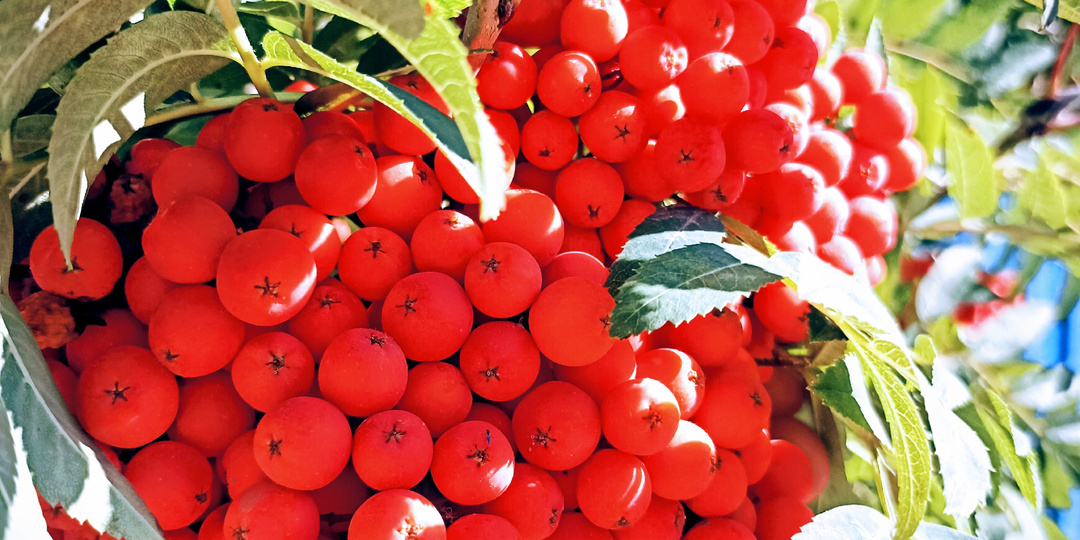 Замуж по необходимости. Часть 2