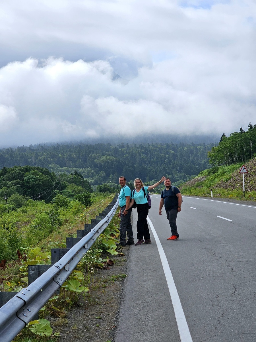 Вот прямо тут мы перелезли через отбойник и пошли искать тропу в зарослях.