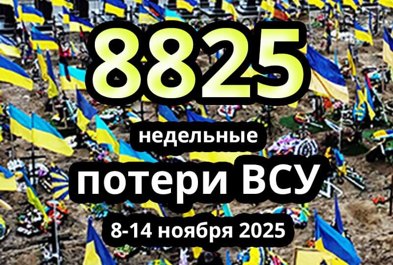    Недельные потери ВСУ