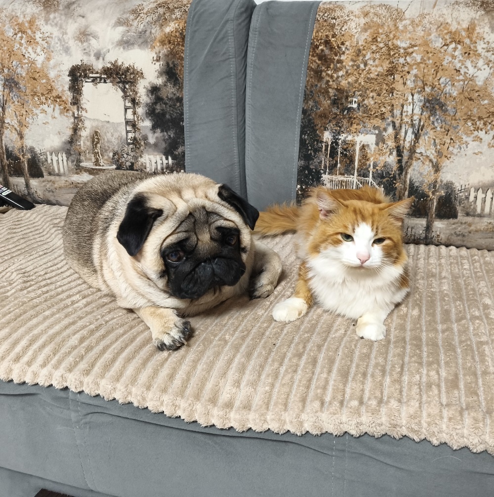 Ефим Ефимыч и кот Рыжий на диване