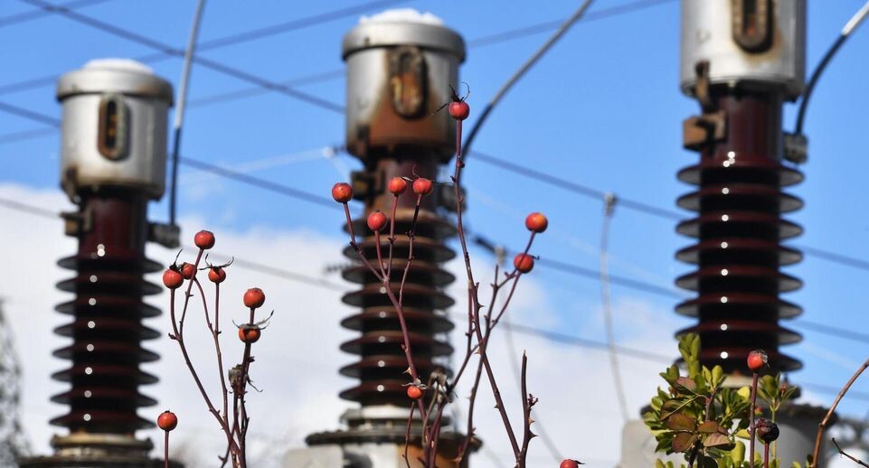    РИА «Новости»