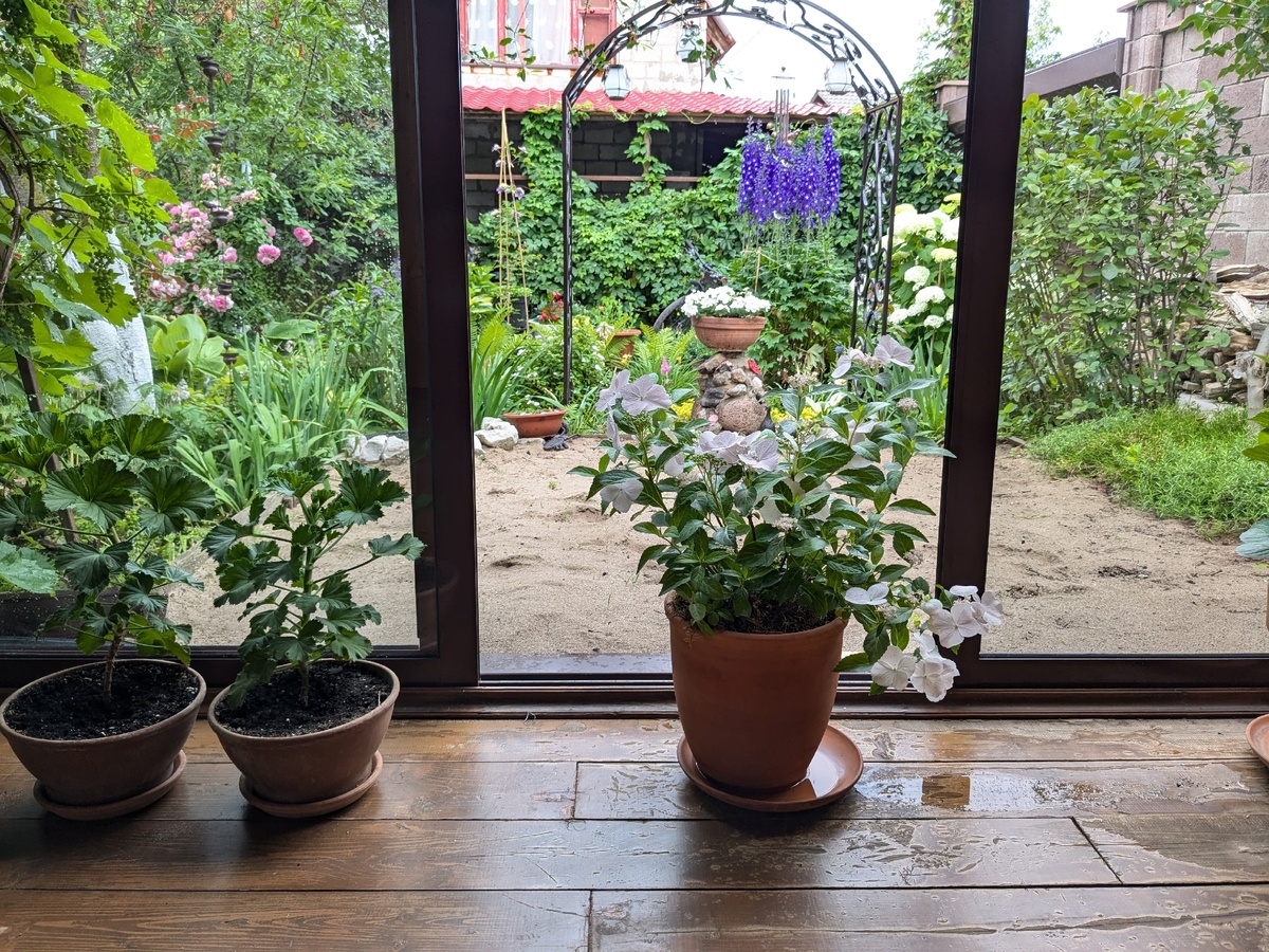 На веранде: утро после дождя